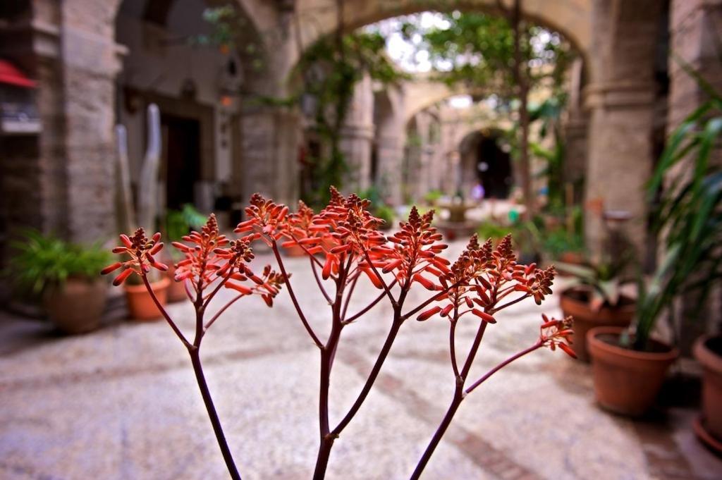 Hotel Balneario De Sierra Alhamilla Pechina Εξωτερικό φωτογραφία
